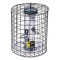 Squirrel Proof Feeder with Cage & Tray