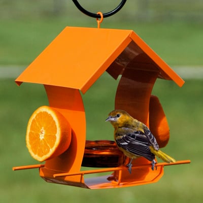 Oriole Metal Feeder