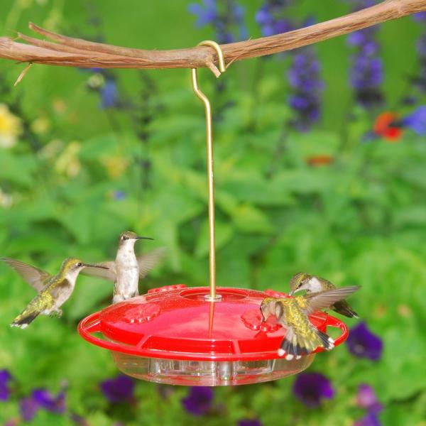 Hummingbird Zinger Ultra Feeder