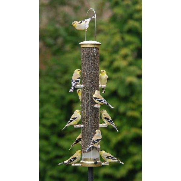 Finch Tube Quick Clean Feeder (large)