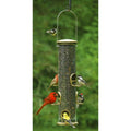 Big Tube Seed Quick Clean Feeder with Cardinal Perches