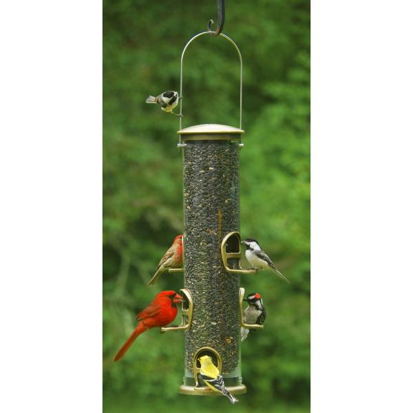 Big Tube Seed Quick Clean Feeder with Cardinal Perches