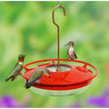 Hummingbird Zinger High View Feeder