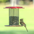 Sunflower Mesh Bird Feeder