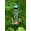 Squirrel Proof Feeder Squirrel Buster Classic