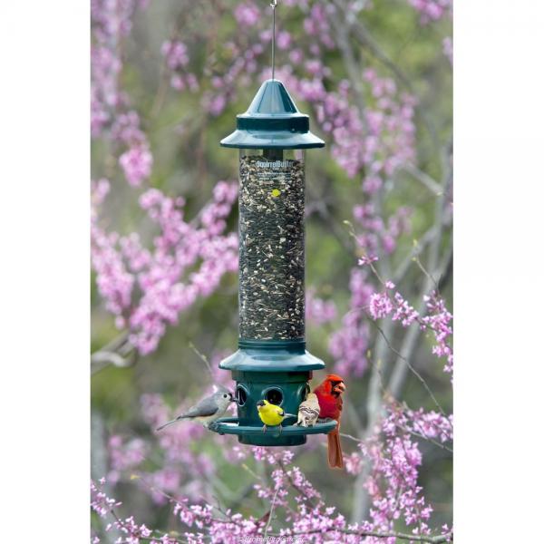 Squirrel Proof Feeder Squirrel Buster Plus