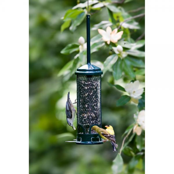 Squirrel Proof Squirrel Buster Mini Feeder