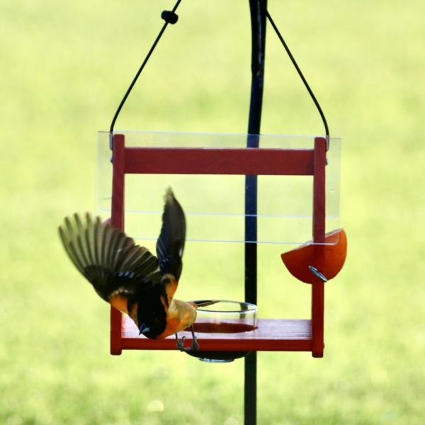 Oriole Bistro Feeder