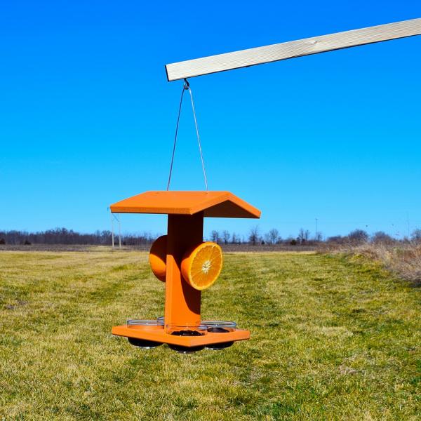 Oriole Poly Mammoth Feeder