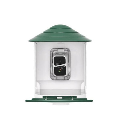 Bird Feeder Camera