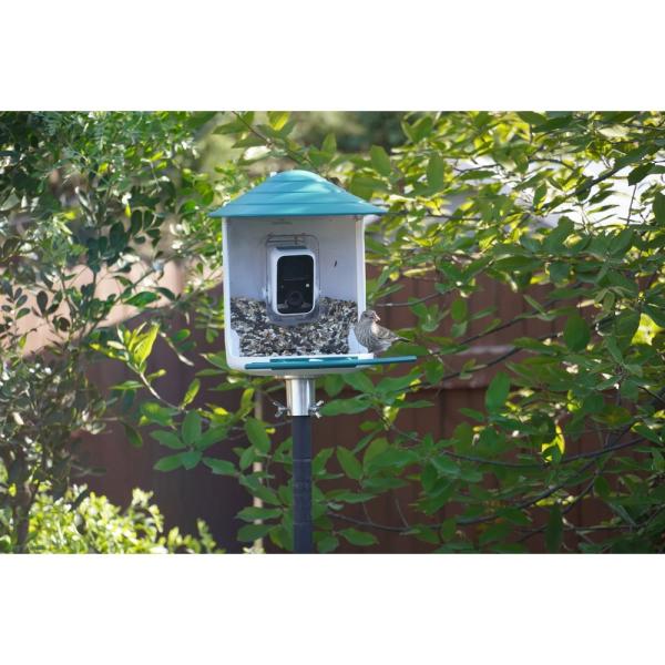 Bird Feeder Camera