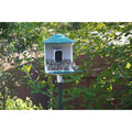 Bird Feeder Camera
