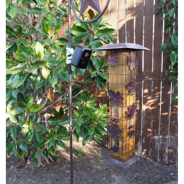 Camera Beakview Feather Cam