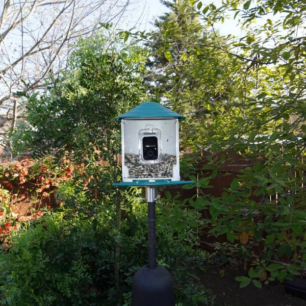 Bird Camera Feeder Pole 1" Mount