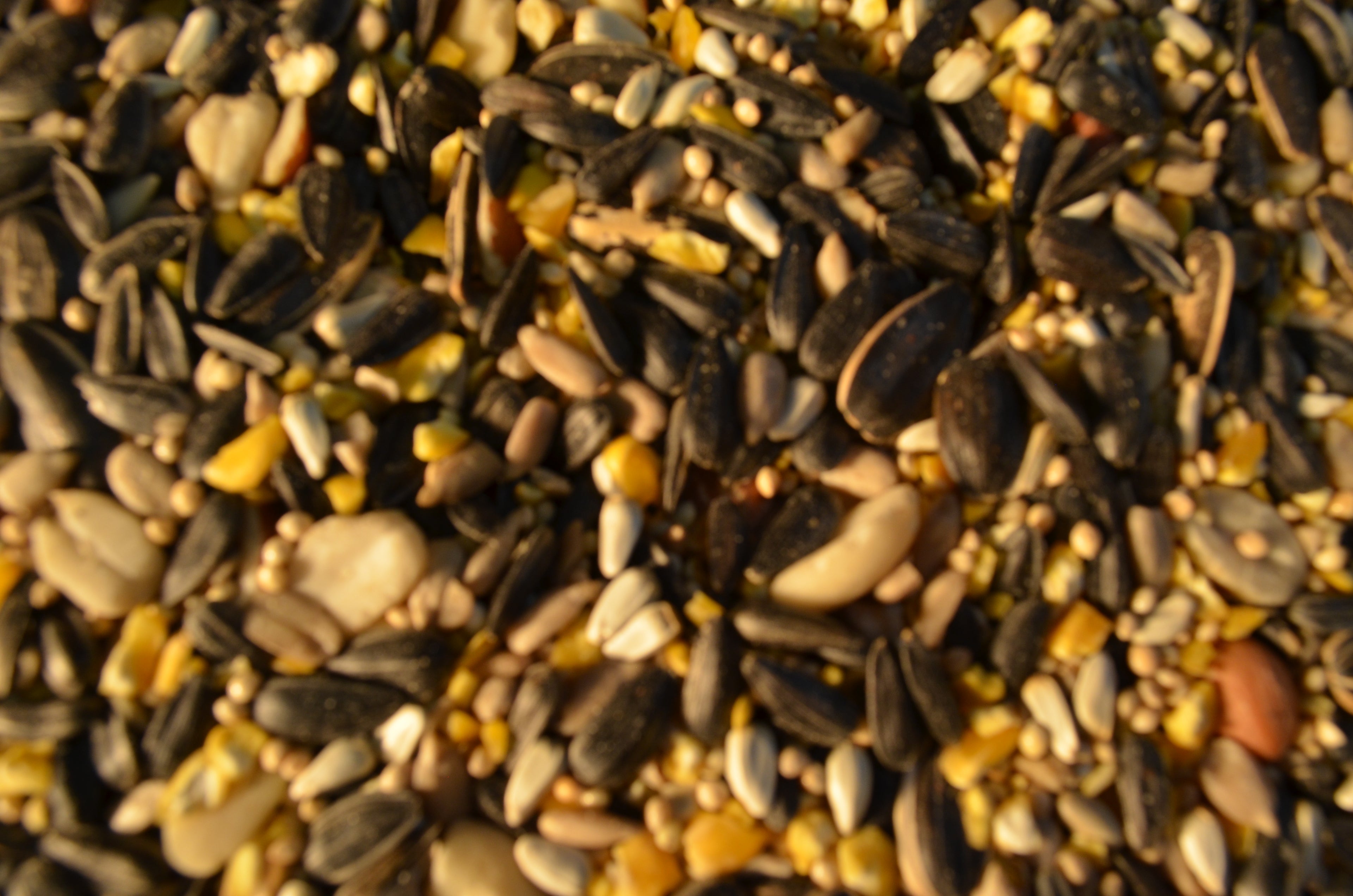 Connection Special  20#