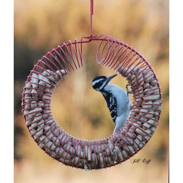Peanut (whole) Wreath Ring Feeder