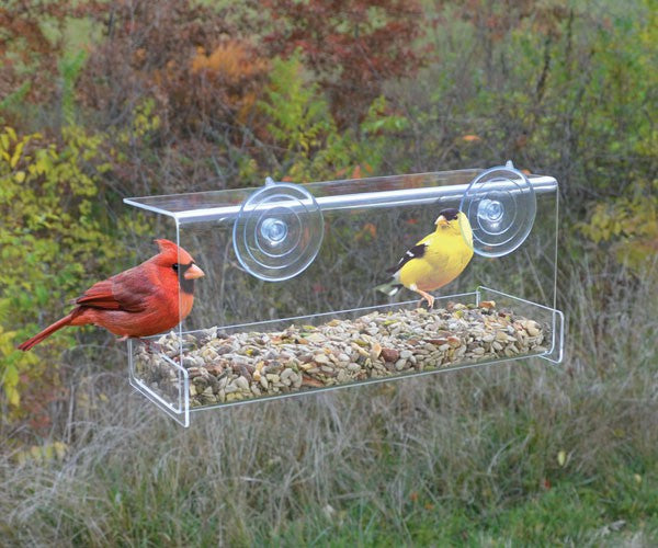 Window Bird Feeder