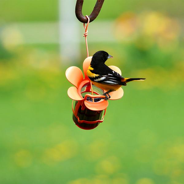 Oriole Jelly Feeder