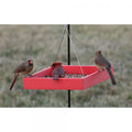 Tray Platform Feeder (red)