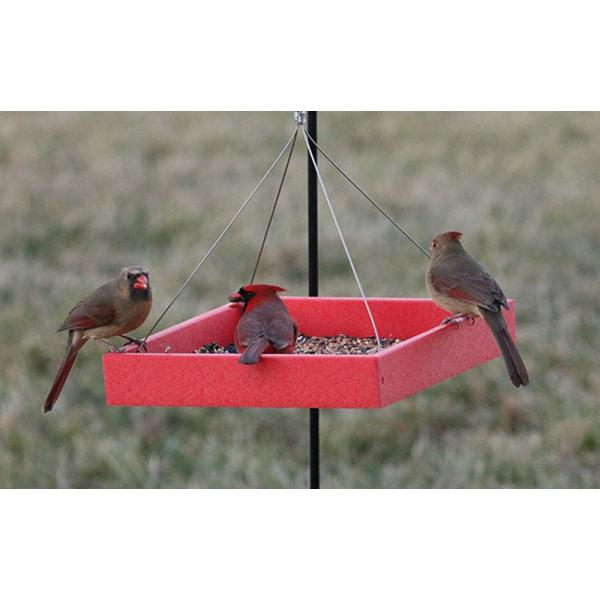 Tray Platform Feeder (red)
