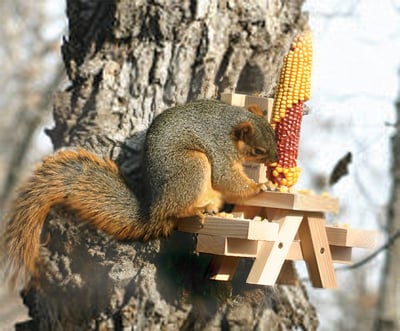 Squirrel Feeder Picnic Table