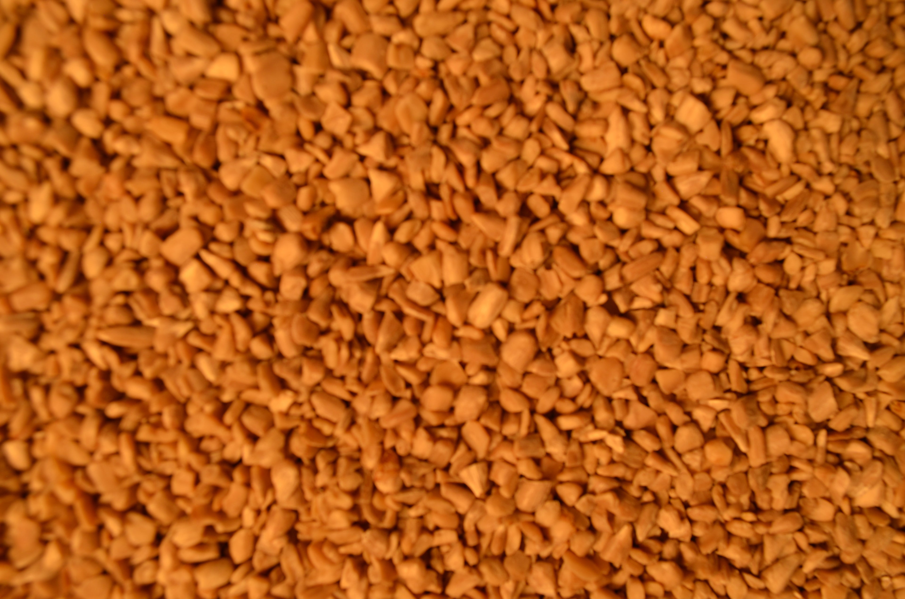 Sunflower Hearts  20#