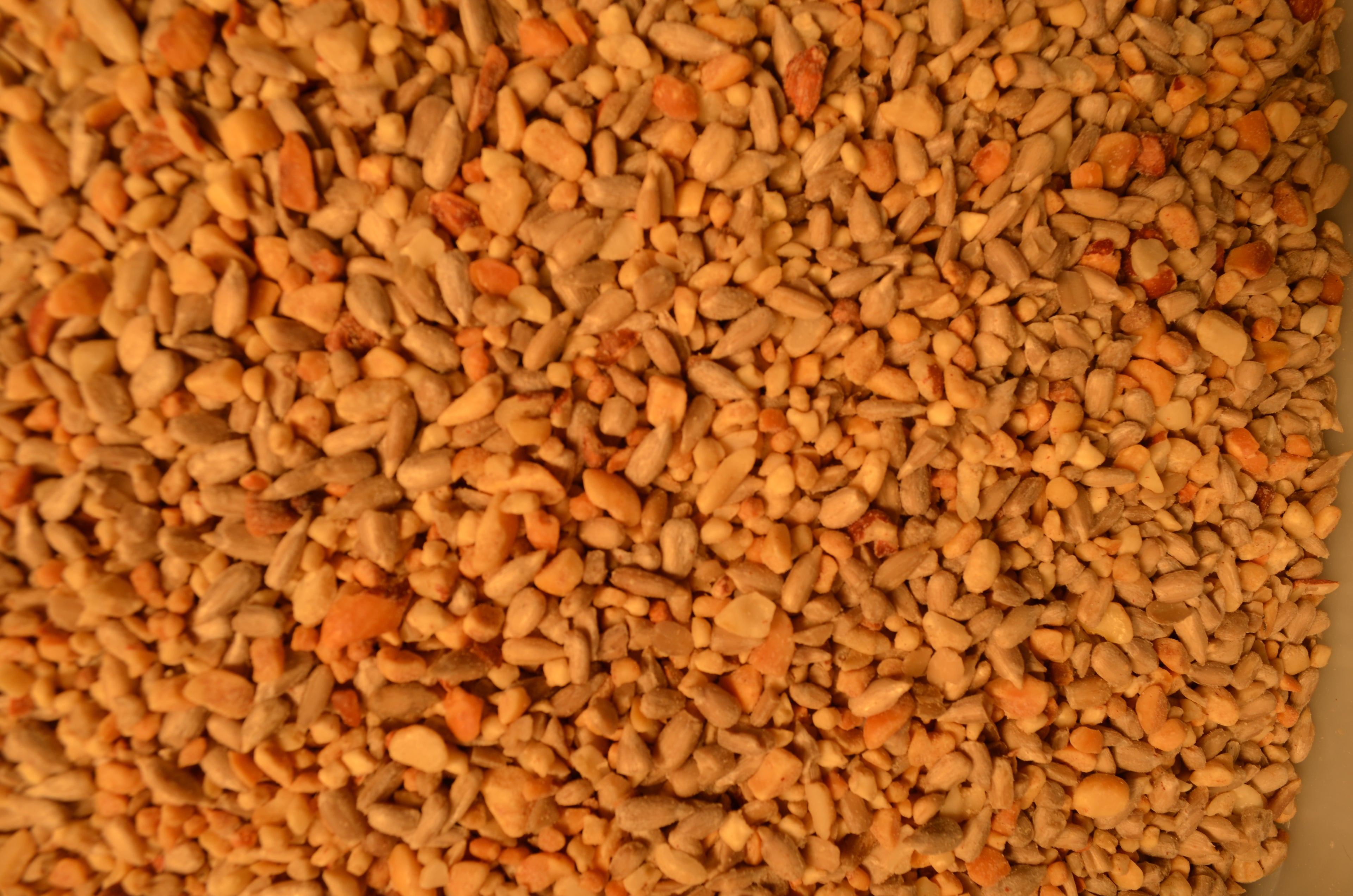 Wild Bird Delight  20#