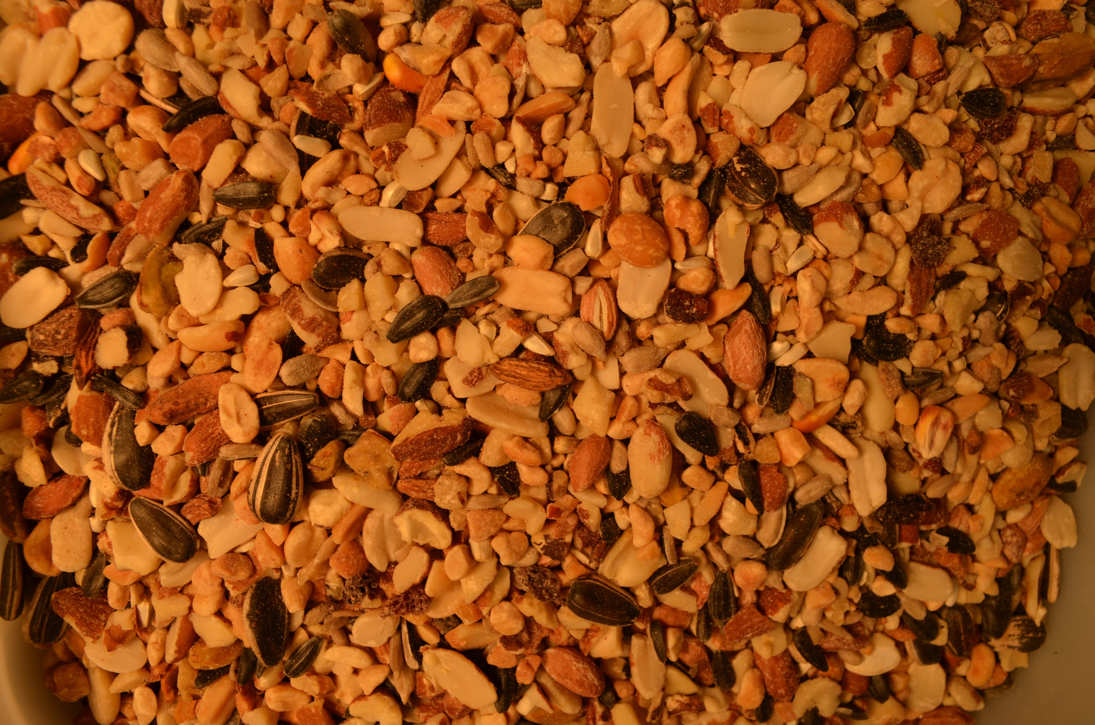 Woodpecker Gourmet  20#