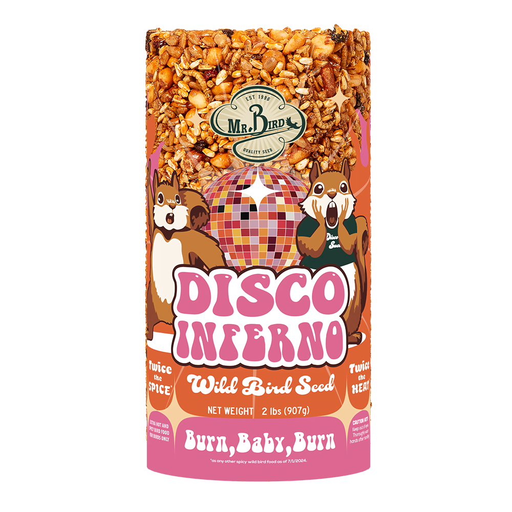 Disco Inferno Seed Block
