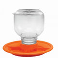 Jelly Jar Feeder