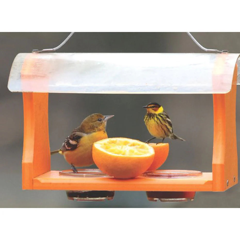 Oriole Feeder 2 cups with dome