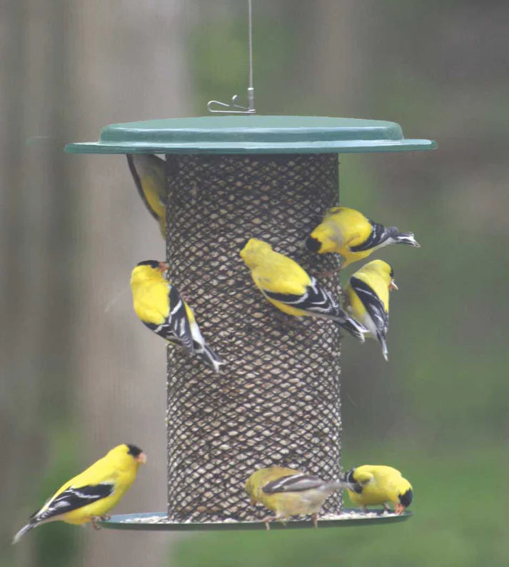 Mesh Bird Feeder for Safflower & Hulled Sunflower