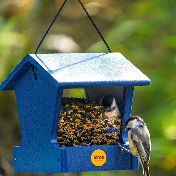 Hopper Bird Feeder (small)