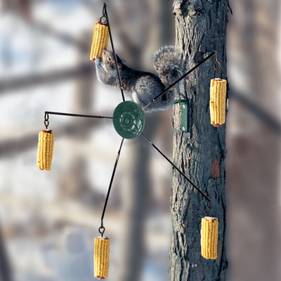 Squirrel Go-Around Feeder – Wild Bird Connection