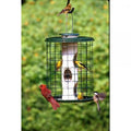 Caged Feeder with metal tray