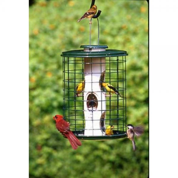 Caged Feeder with metal tray